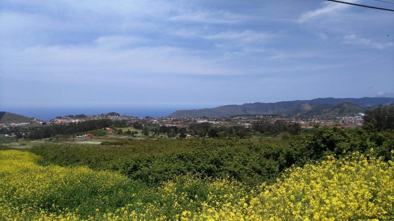 Con Terraza Privada Y Barbacoa La Laguna (Tenerife)
